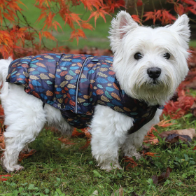 Подплатено яке Croci PADDED  JACKET  FOREST